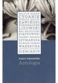 Poeci Krakowa. Antologia