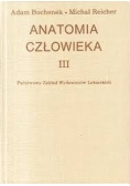 Anatomia człowieka III