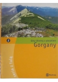 Góry Ukrainy z plecakiem Gorgany