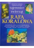 Tajemnice zwierząt. Rafa Koralowa
