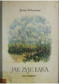 Jak żyje łąka