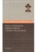 My, pierwsza brygada