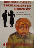 Dorosłe dziecko rozwiedzionych rodziców
