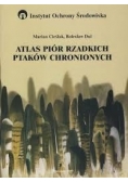 Atlas piór rzadkich ptaków chronionych