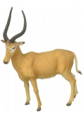 Hirola