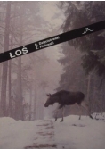 Łoś