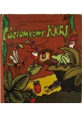 Poziomkowy kraj