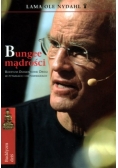 Bungee mądrości