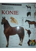 Ilustrowane słowniki.Konie