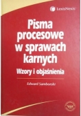 Pisma procesowe w sprawach karnych