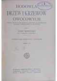 Hodowla drzew i krzewów owocowych, 1929 r.
