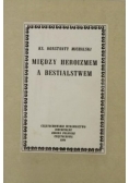 Między heroizmem a bestialstwem