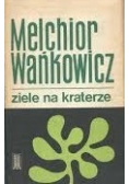 Ziele na kraterze
