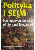 Polityka i Sejm. Formowanie się elity politycznej