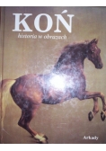 Koń historia w obrazach