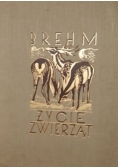 Życie zwierząt  T. I