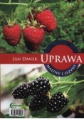 Uprawa maliny i jeżyny