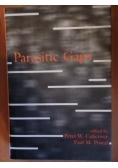 Parasitic Gaps