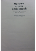 Uprawa roślin ozdobnych