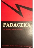 Padaczka