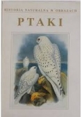 Historia naturalna w obrazach. Ptaki