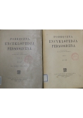 Podręczna encyklopedja pedagogiczna Tom I i II ok 1925 r.