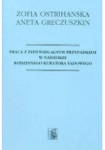 Praca z indywidualnym przypadkiem w nadzorze rodzinnego kuratora sądowego