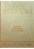 Dzieje Apostolskie wstęp przekład komentarz