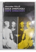 Dzieje zwierciadła