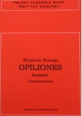 Opiliones