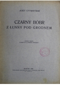 Czarny bóbr z łunny pod Grodnem 1929 r