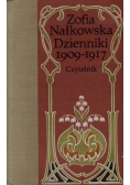 Dzienniki 1909 1917