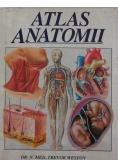 Atlas antomii
