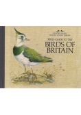 Field Guide to the Birds of Britain