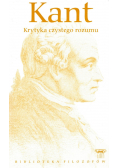Krytyka czystego rozumu