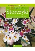 Storczyki