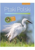 Encyklopedia ilustrowana. Ptaki Polski
