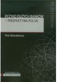 Ryzyko dużych banków: Perspektywa Polski