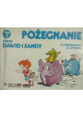 Pożegnanie z serii Dawid i Sandy, tom 11