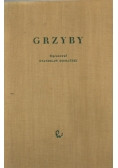 Grzyby