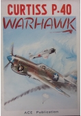 Curtiss P-40 Warhawk