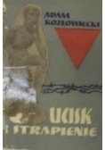 Ucisk i strapienie pamiętnik więźnia 1939-1945