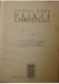 Dzieje Chrystusa, Tom I