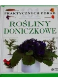 101 praktycznych porad. Rośliny doniczkowe
