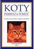 Koty pierwsza pomoc