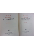 Miasta polskie w tysiącleciu, Tom I-II
