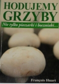 Hodujemy grzyby