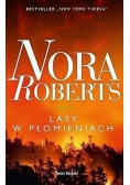 Lasy w płomieniach