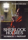 Sherlock Holmes. Dzienniki i przygody
