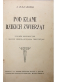 Pod kłami dzikich zwierząt ,1917r.